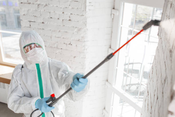 Mold Remediation for Rental Properties in Springfield, MO