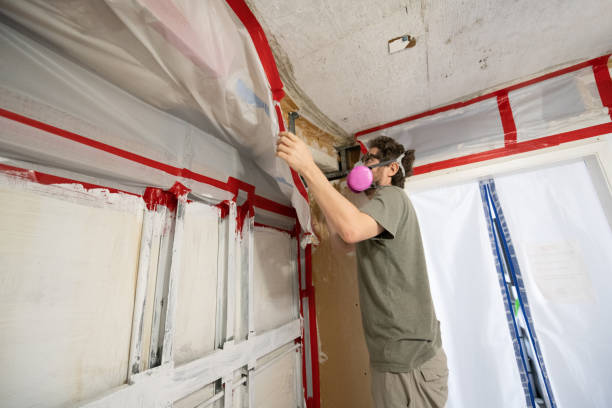 Best Airborne Mold Testing  in Springfield, MO