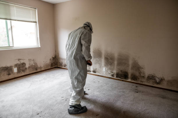 Mold Remediation for Rental Properties in Springfield, MO