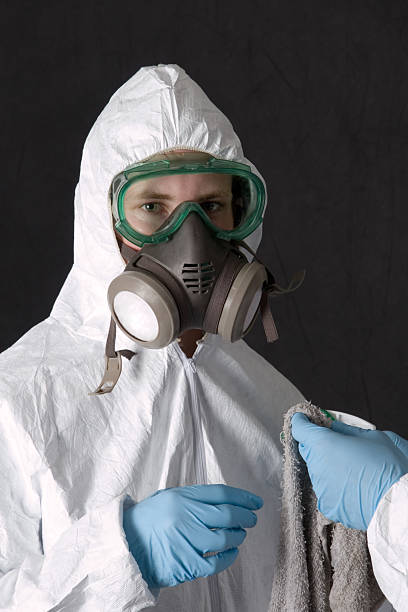 Best Mold Remediation for Rental Properties  in Springfield, MO